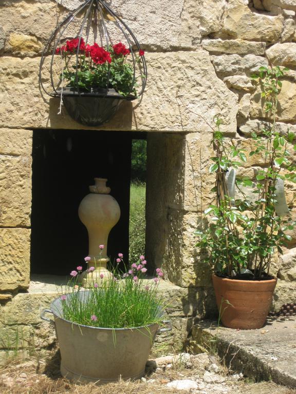 Bed and Breakfast Domaine La Rose à Caylus Extérieur photo